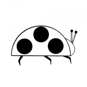 COCCINEL